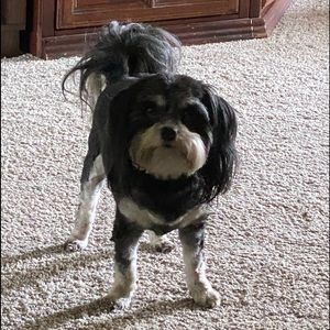 Meet your Posher, Jeanette